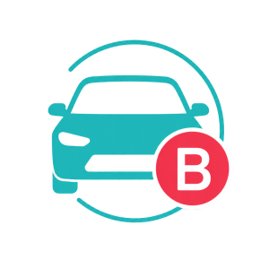 Picto Permis B